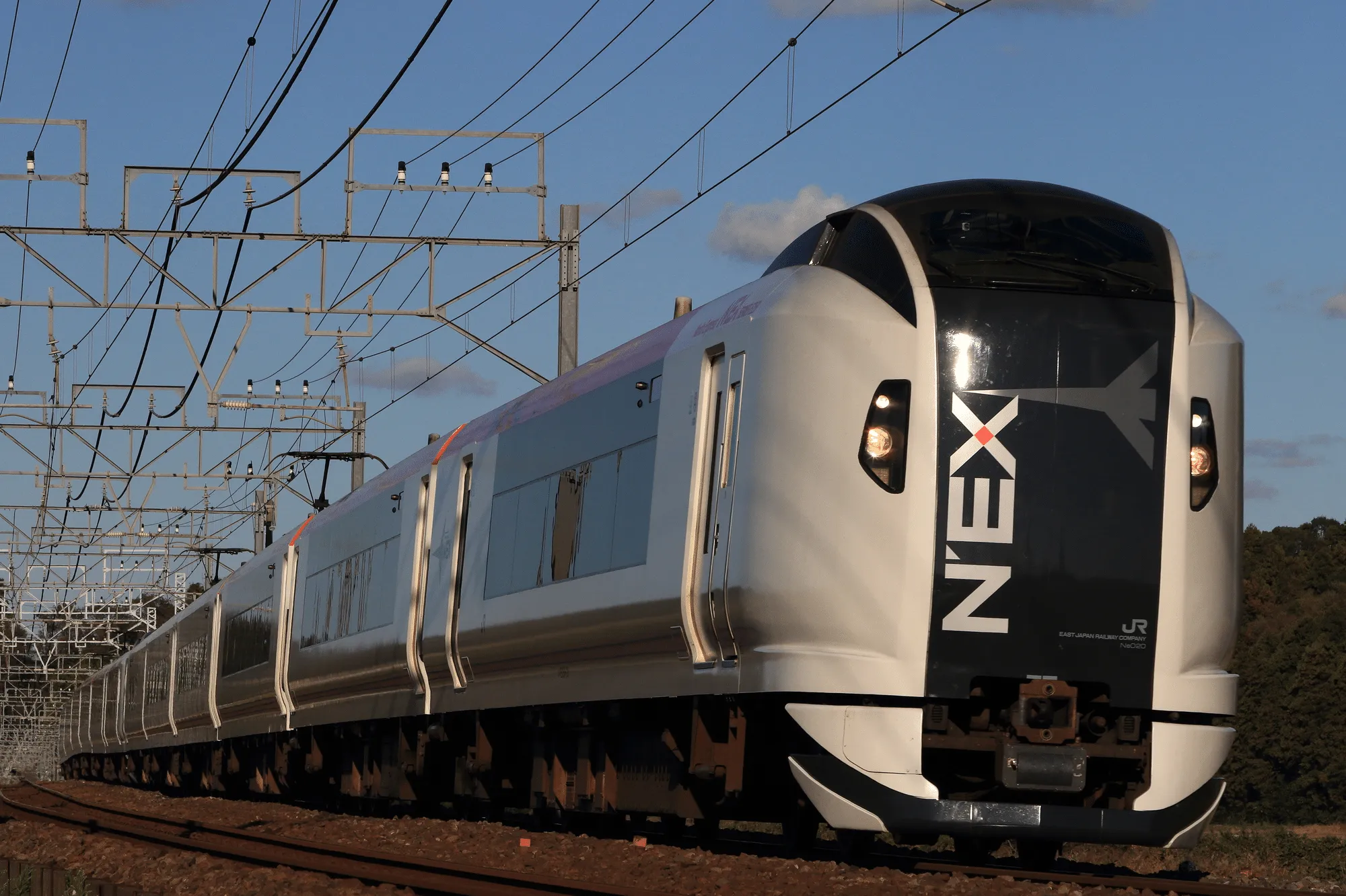 Where Is the Narita Express Platform at Tokyo Station? Ticket Purchase Methods and Transfer Times