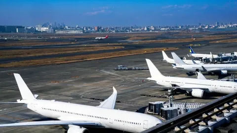 [2026 Update] Which Haneda Airport Flat-Fare Taxi Is Best? A Thorough Comparison of 10 Major Services by Price, Area, and More