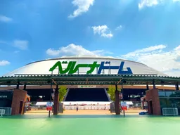 How to Get from Haneda and Narita Airports to Belluna Dome | Comparing Trains, NearMe Spots, and Taxis