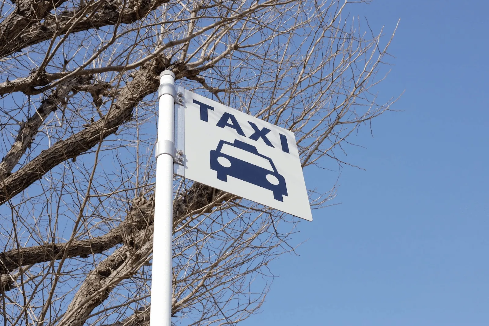 The Ultimate Comparison of Fixed-Fare Taxis and Other Transport Options to Haneda Airport (Plus Our Top Taxi Picks)