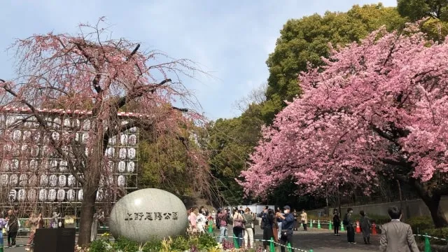 How to Get from Haneda Airport to Ueno? A Thorough Comparison of Transport Options and Our Recommended Route