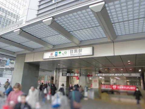 How to Get from Meguro to Haneda Airport: A Complete Transportation Comparison