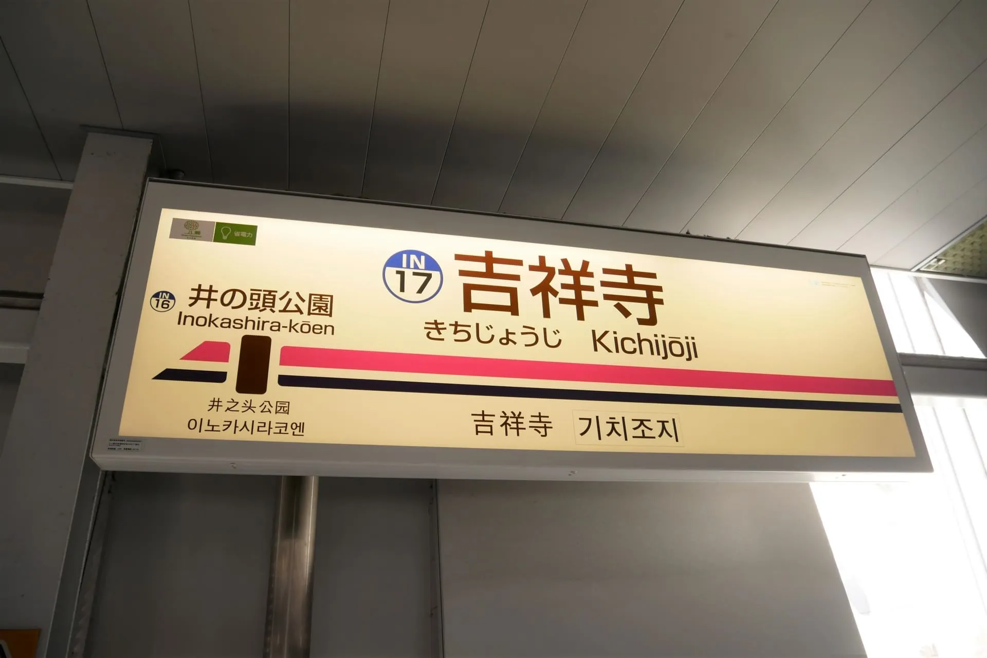 How to Get from Kichijoji to Narita Airport by Bus: A Complete Guide (Plus Other Recommended Options)