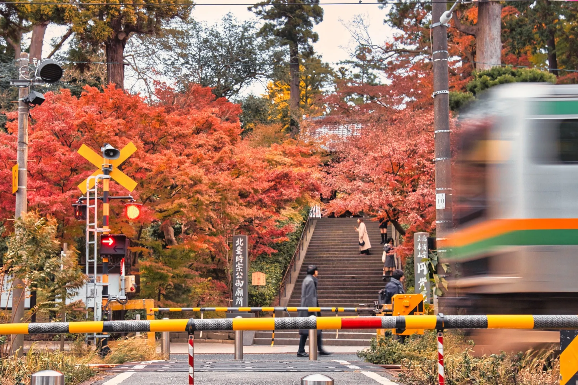 紅葉の鎌倉と江ノ電の踏切