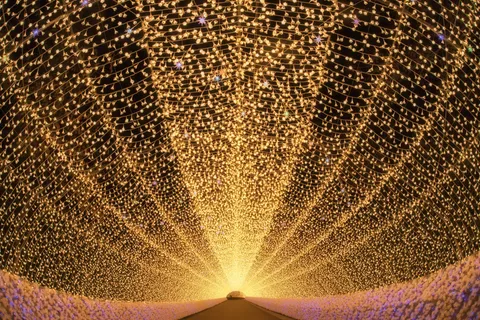Nabana no Sato Model Course | Chartered Taxi from Nagoya, Plus Illumination Nights