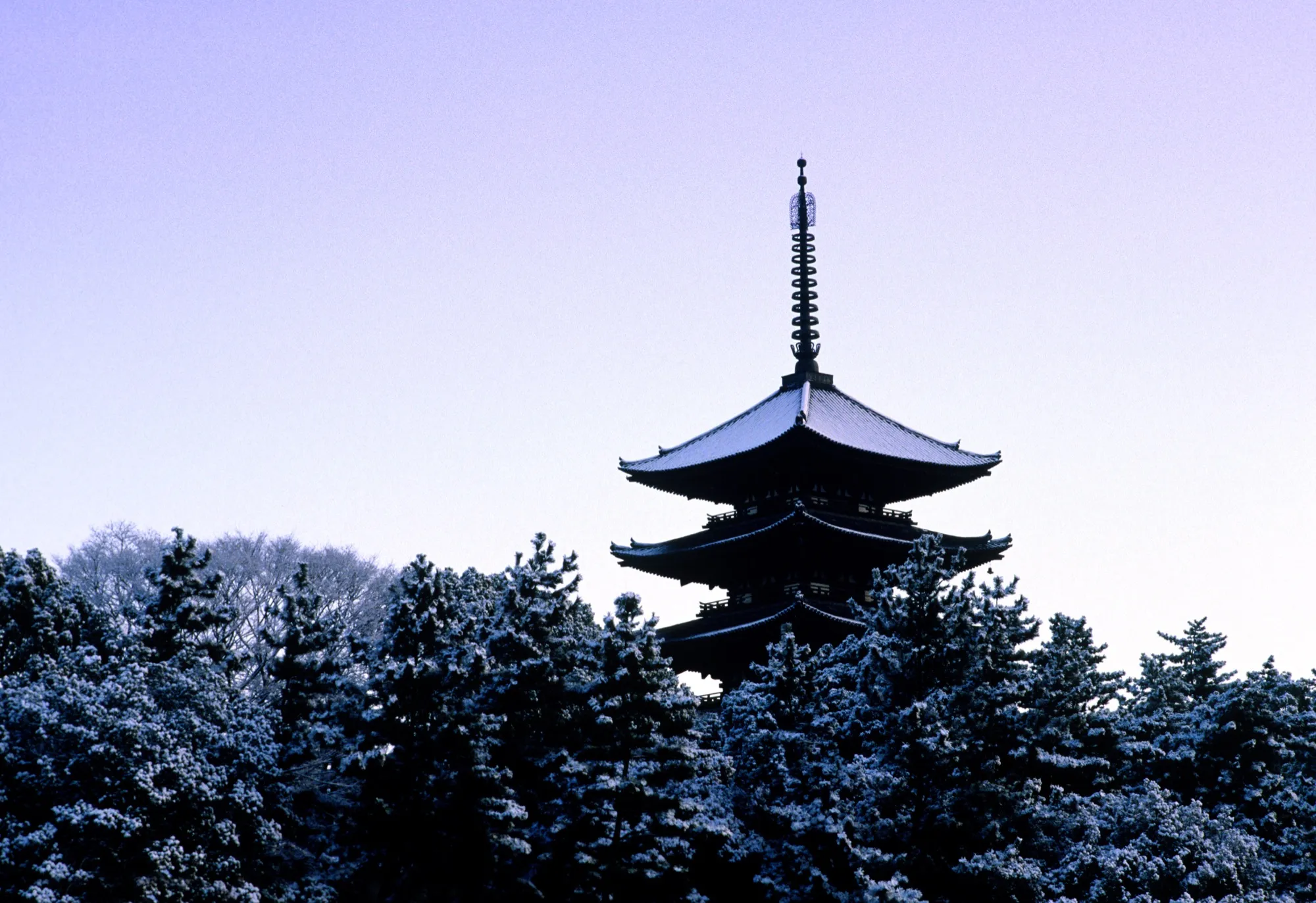 雪化粧した五重塔