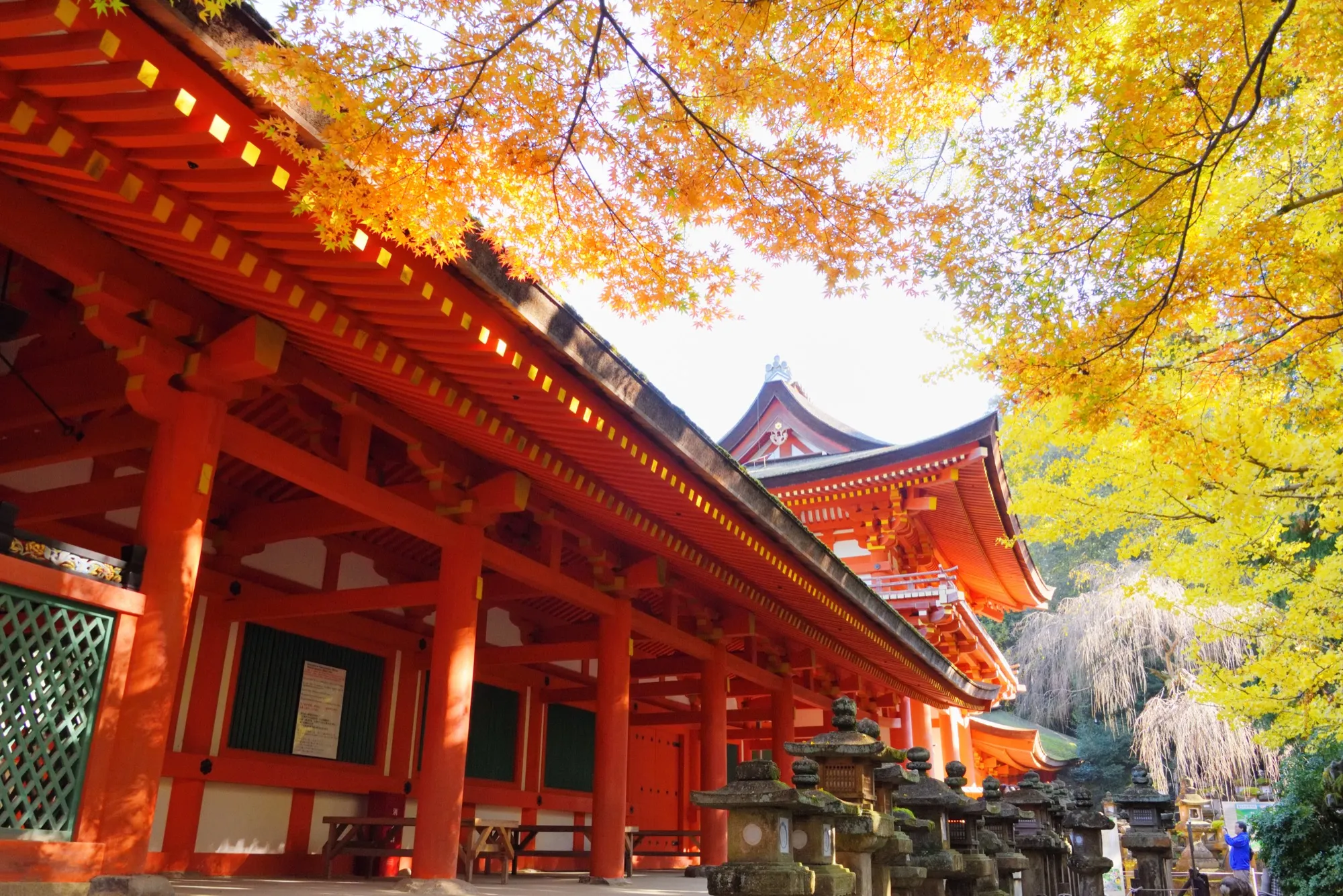 紅葉の春日大社