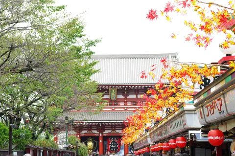 How to Get from Asakusa Station to Haneda Airport: A Complete Access Guide