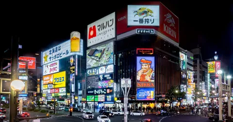 Sapporo Night View Private Car Charter (3 Hours)｜Asahiyama Memorial Park・Mt. Moiwa・Odori Park・Sapporo TV Tower