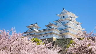 姫路城 1日周遊 貸切タクシーツアー（6時間）｜姫路城・好古園・大手前通り