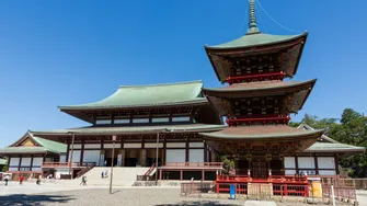成田空港送迎＋観光（4時間）貸切タクシー｜成田山新勝寺・浅草