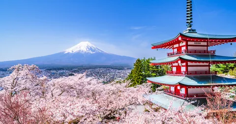 富士山五合目・河口湖 1日貸切タクシーツアー（10時間）｜大石公園・忠霊塔