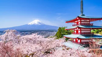 富士山五合目・河口湖 1日貸切タクシーツアー（10時間）｜大石公園・忠霊塔