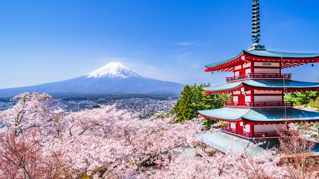富士山五合目・河口湖 1日貸切タクシーツアー（10時間）｜大石公園・忠霊塔