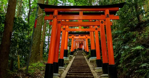 京都清晨寺廟巡禮包車（4小時）｜伏見稻荷大社・清水寺・八坂塔・金閣寺