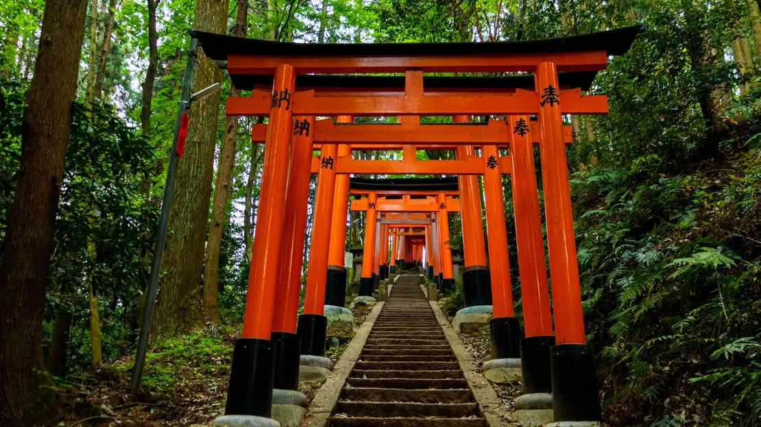 京都 早朝社寺めぐり 貸切タクシーツアー（4時間）｜伏見稲荷大社・清水寺・八坂の塔・金閣寺