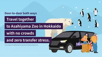 Private Transfer: Between Sapporo City / New Chitose Airport (CTS) & Asahiyama Zoo, Asahikawa