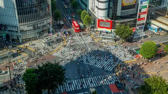 東京ハイライト 貸切タクシーツアー（5時間）｜明治神宮・渋谷・皇居・浅草・チームラボ