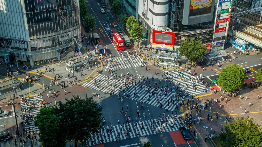 東京ハイライト 貸切タクシーツアー（5時間）｜明治神宮・渋谷・皇居・浅草・チームラボ