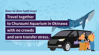 Private Transfer: Between Naha City / Naha Airport (OKA) & Okinawa Churaumi Aquarium